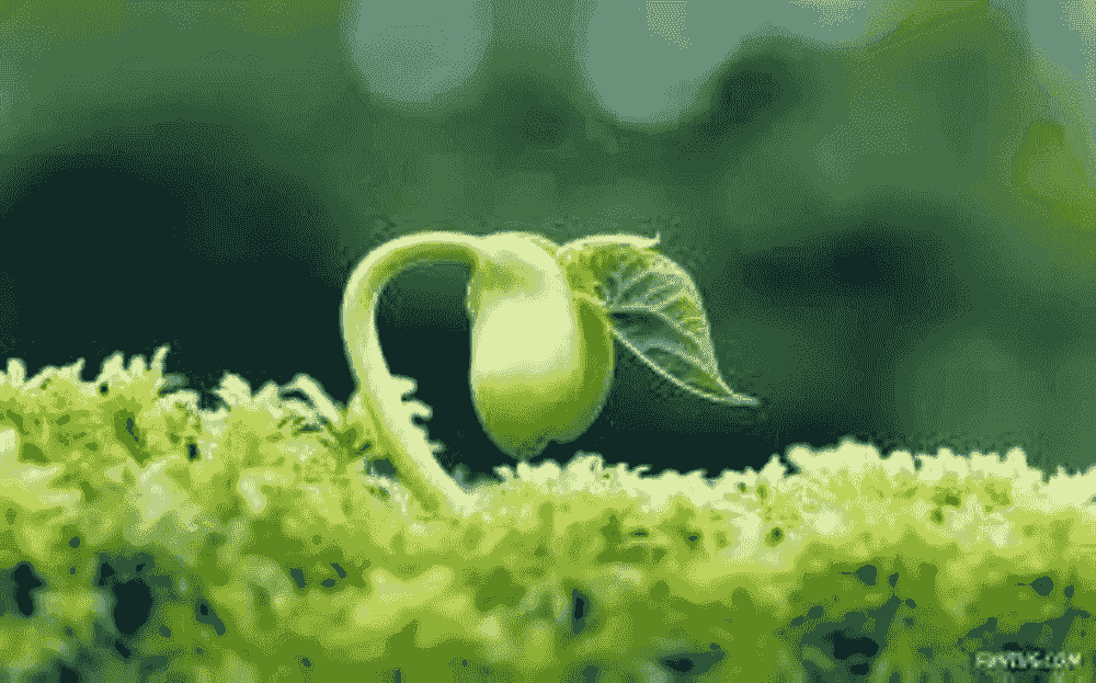 Connect with other families and educators to share resources, knowledge, and support for homeschooling and community initiatives. Resource Sharing Network Our Mission A collective of educators offering classes, workshops, and events for children, families, and community building. A homeschool co op and resource sharing network for causes aligned with social impact, self reliance, and a culture of vibrant creativity, interconnection, resourcefulness, and service. Connect with other families and educators to share resources, knowledge, and support for homeschooling and community initiatives. Resource Sharing Network Our Mission A collective of educators offering classes, workshops, and events for children, families, and community building. A homeschool co op and resource sharing network for causes aligned with social impact, self reliance, and a culture of vibrant creativity, interconnection, resourcefulness, and service.