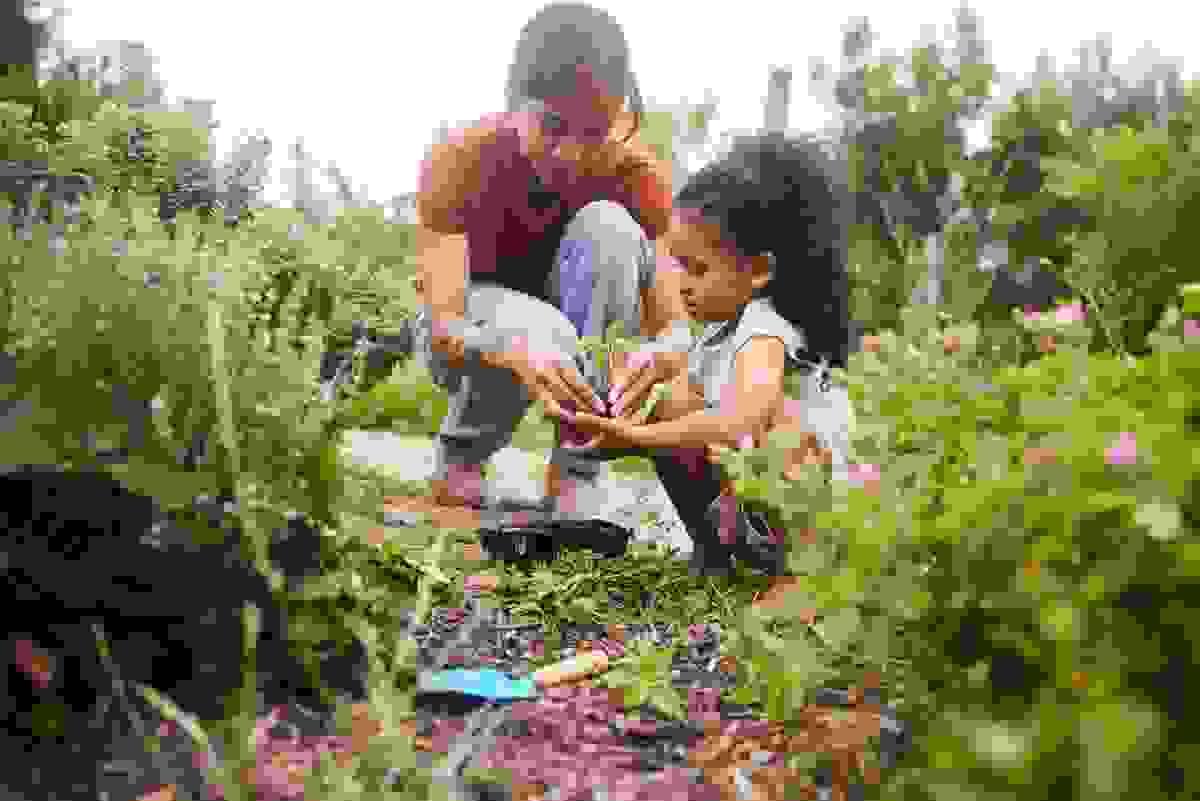 Join our hands-on workshops and community events designed to enhance skills, spark collaboration, and build lasting connections. Workshops & Events Our Mission A collective of educators offering classes, workshops, and events for children, families, and community building. A homeschool co op and resource sharing network for causes aligned with social impact, self reliance, and a culture of vibrant creativity, interconnection, resourcefulness, and service. Join our hands-on workshops and community events designed to enhance skills, spark collaboration, and build lasting connections. Workshops & Events Our Mission A collective of educators offering classes, workshops, and events for children, families, and community building. A homeschool co op and resource sharing network for causes aligned with social impact, self reliance, and a culture of vibrant creativity, interconnection, resourcefulness, and service.