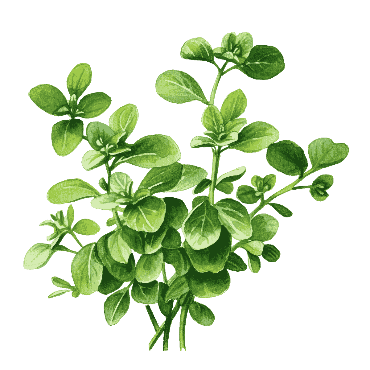 Our resource sharing network empowers families by providing access to educational materials, tools, and support. We believe in collaboration and resourcefulness, allowing families to connect and share valuable experiences and insights. Resource Sharing Network What We Offer A collective of educators offering classes, workshops, and events for children, families, and community building. A homeschool co op and resource sharing network for causes aligned with social impact, self reliance, and a culture of vibrant creativity, interconnection, resourcefulness, and service. Our resource sharing network empowers families by providing access to educational materials, tools, and support. We believe in collaboration and resourcefulness, allowing families to connect and share valuable experiences and insights. Resource Sharing Network What We Offer A collective of educators offering classes, workshops, and events for children, families, and community building. A homeschool co op and resource sharing network for causes aligned with social impact, self reliance, and a culture of vibrant creativity, interconnection, resourcefulness, and service.