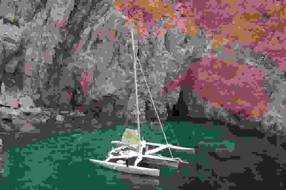 Section image