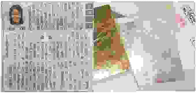 Section image