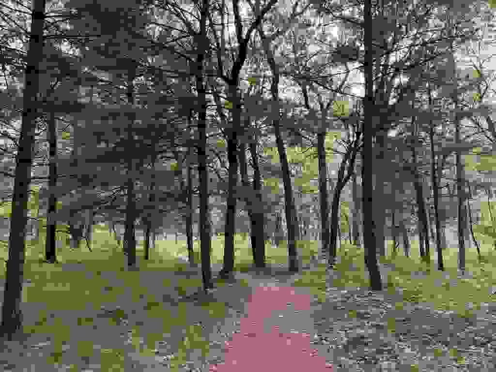 Section image
