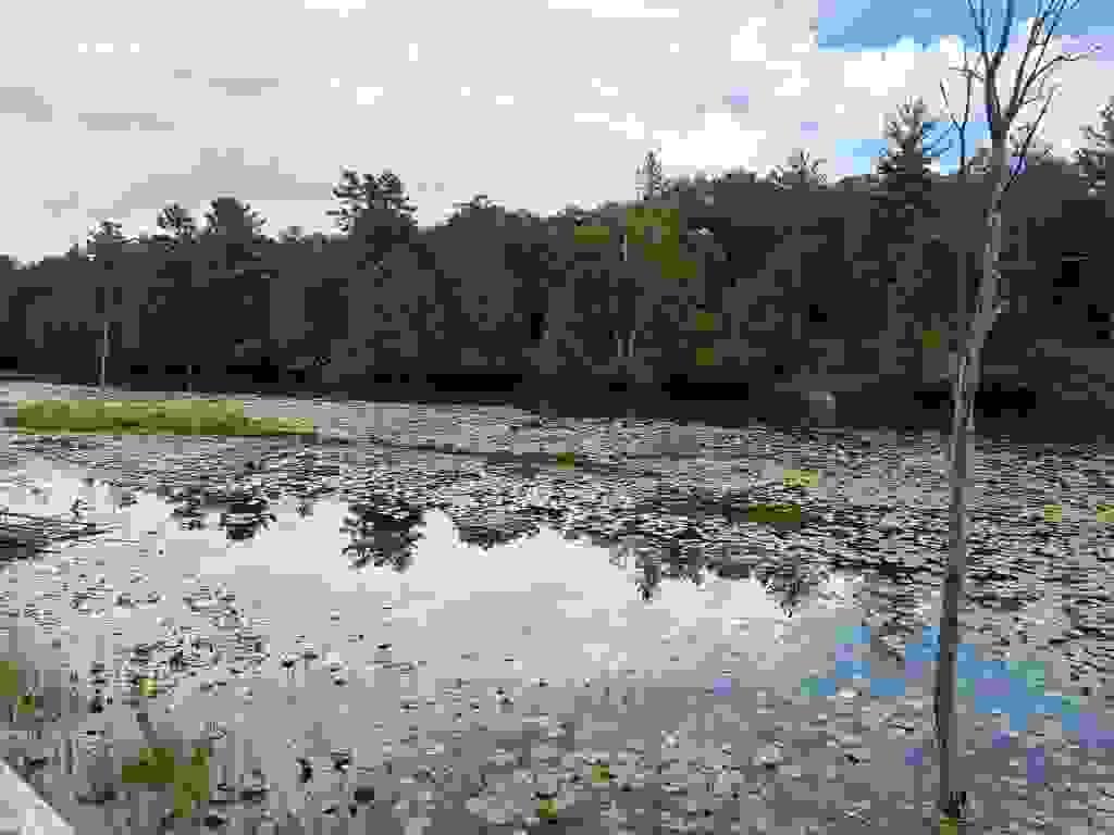 Section image