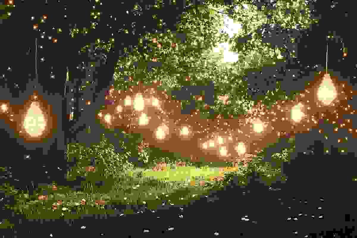 Section image