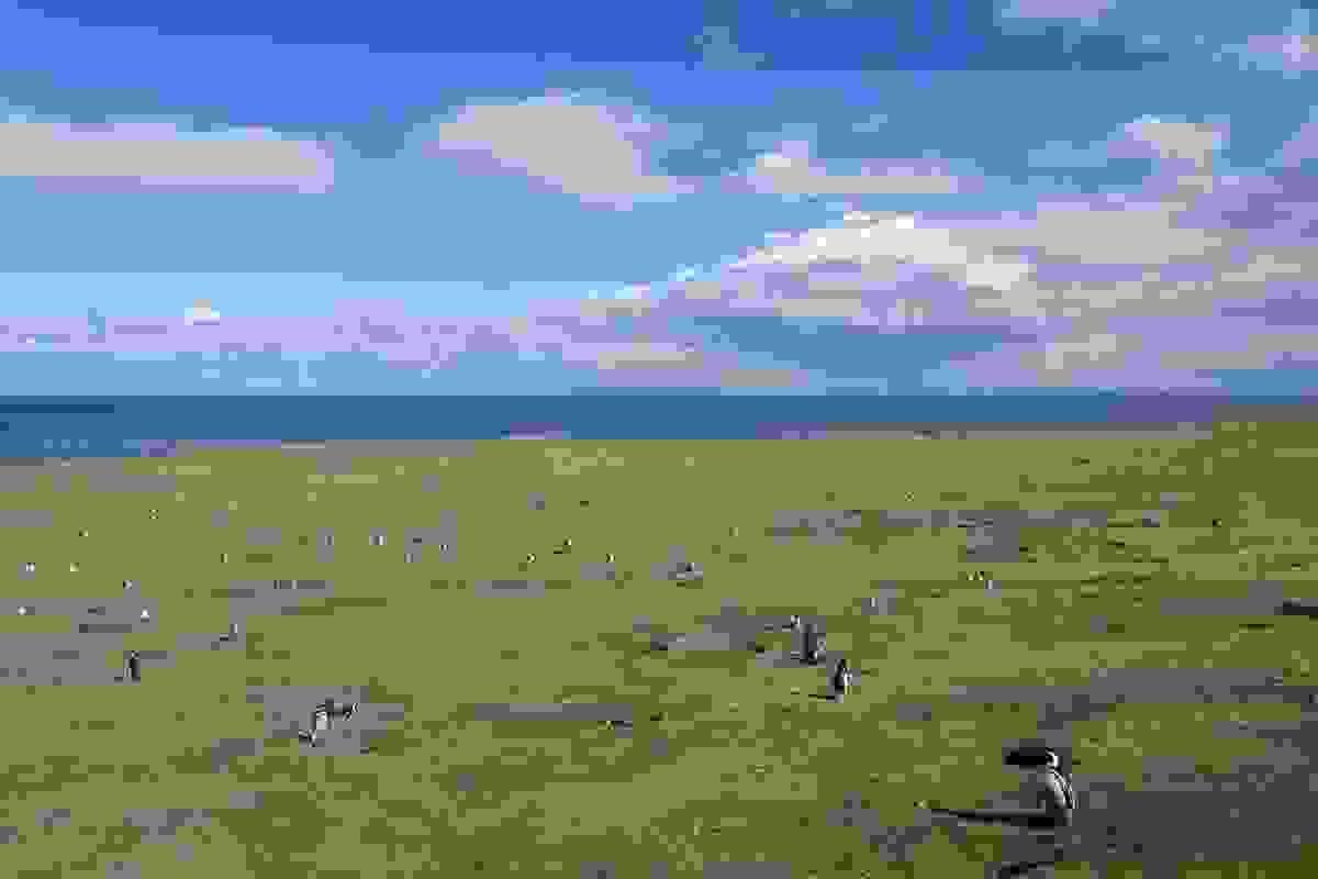 broken image