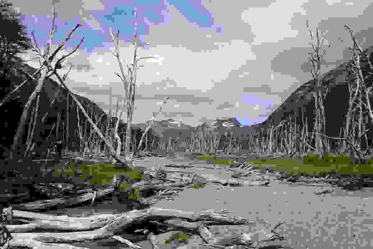 broken image