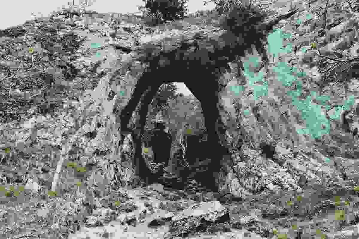 Section image