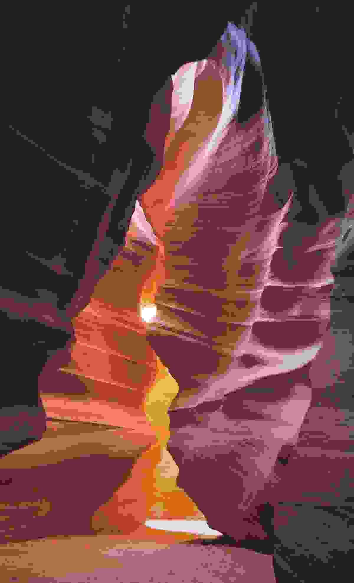 Section image