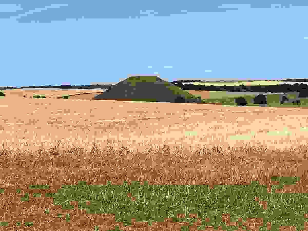 Section image