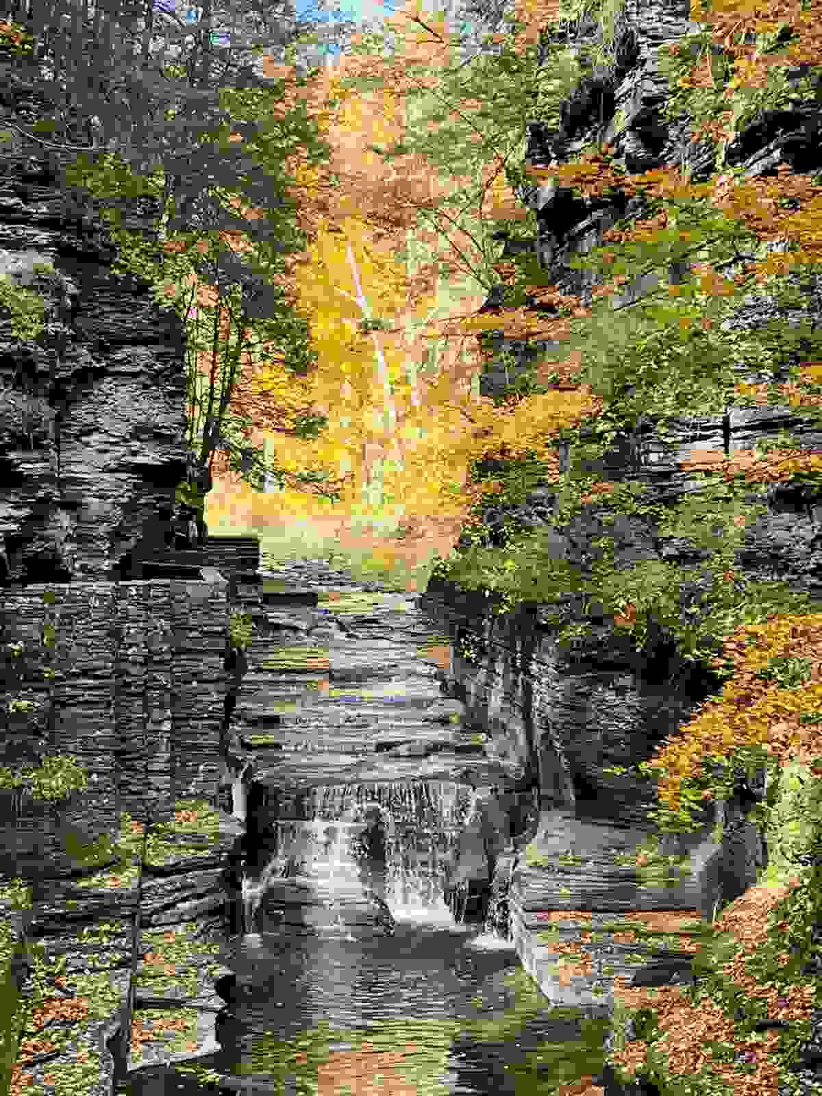 Section image