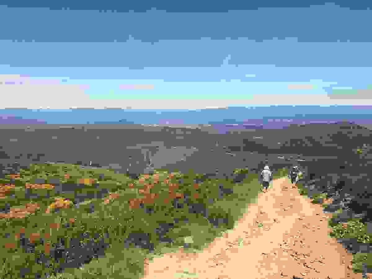 Section image