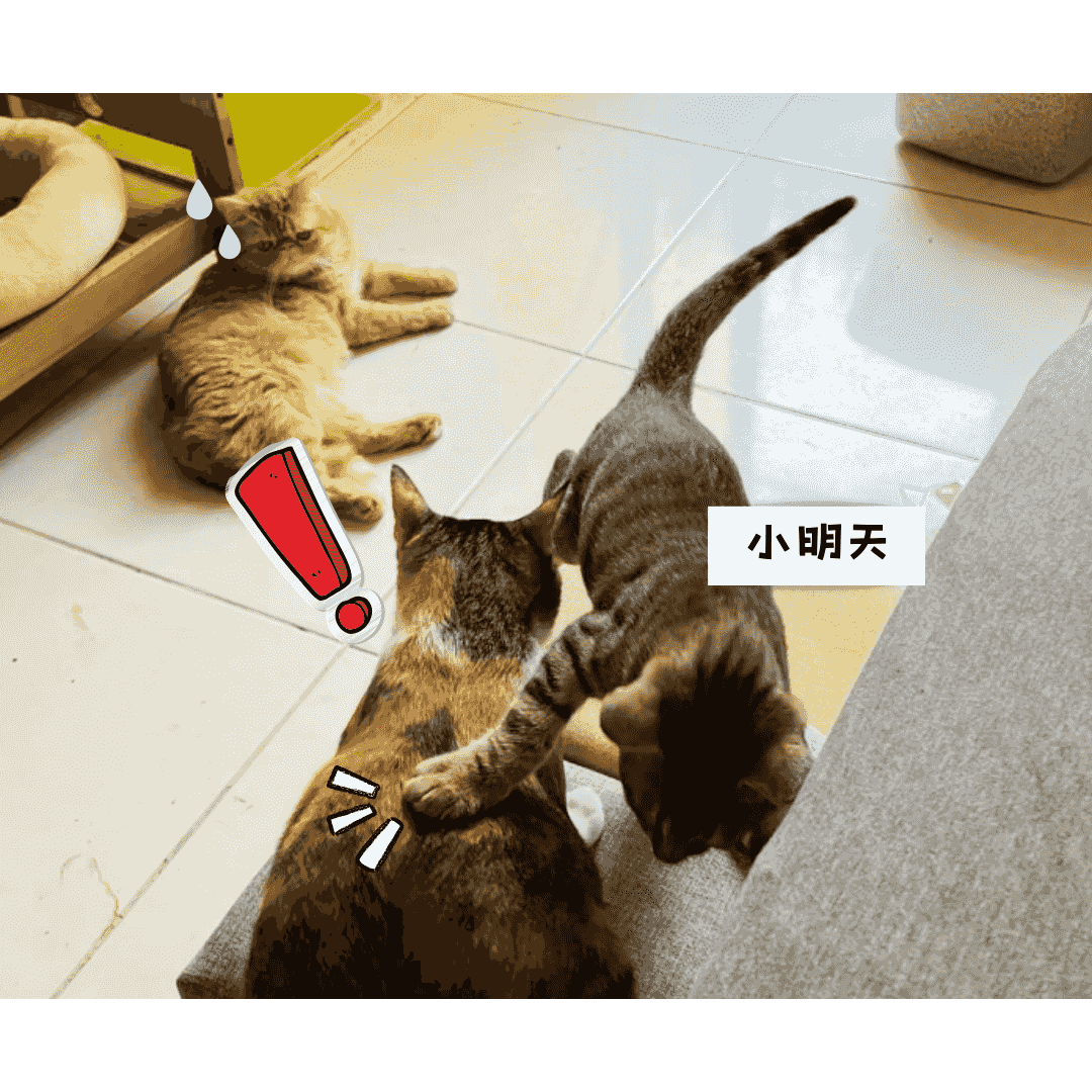 broken image