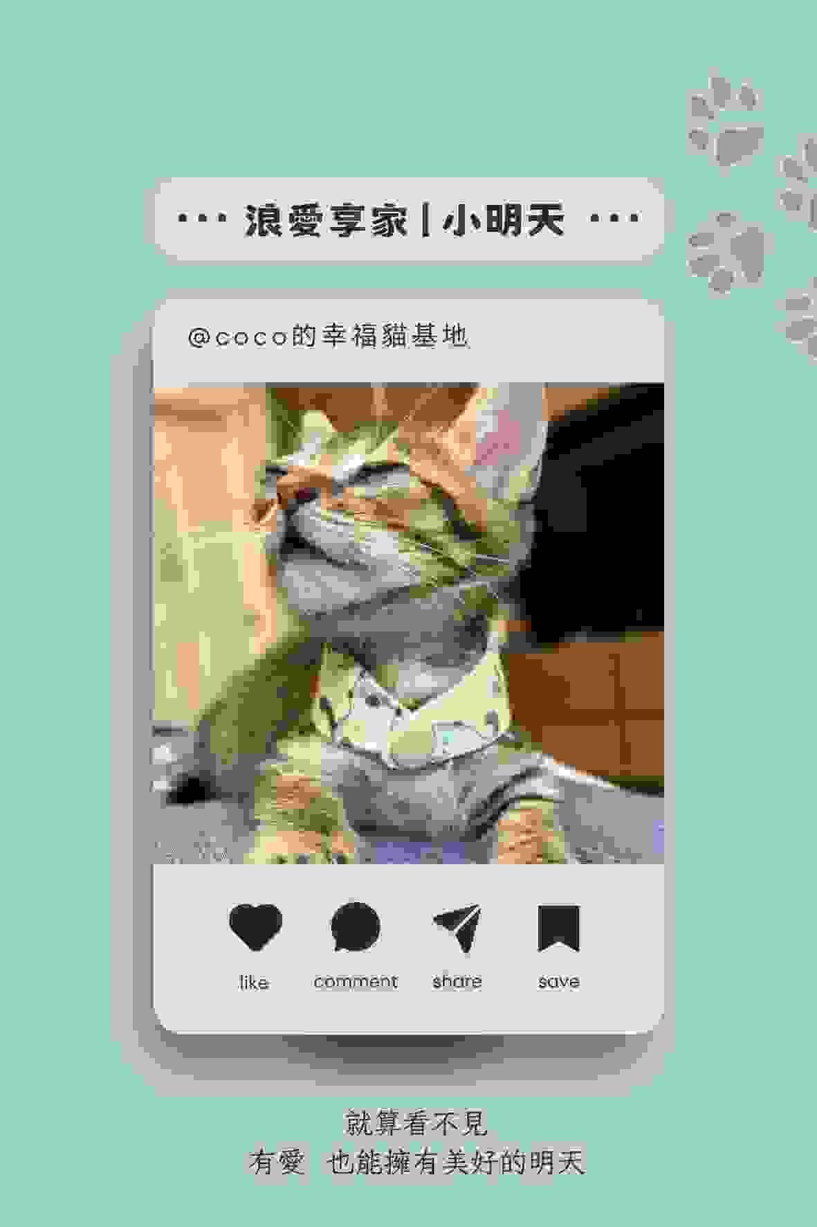 broken image