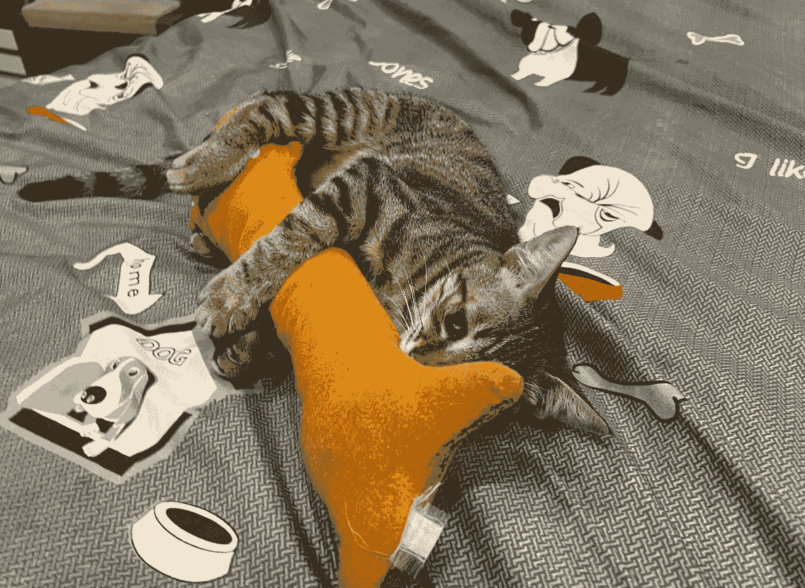 broken image
