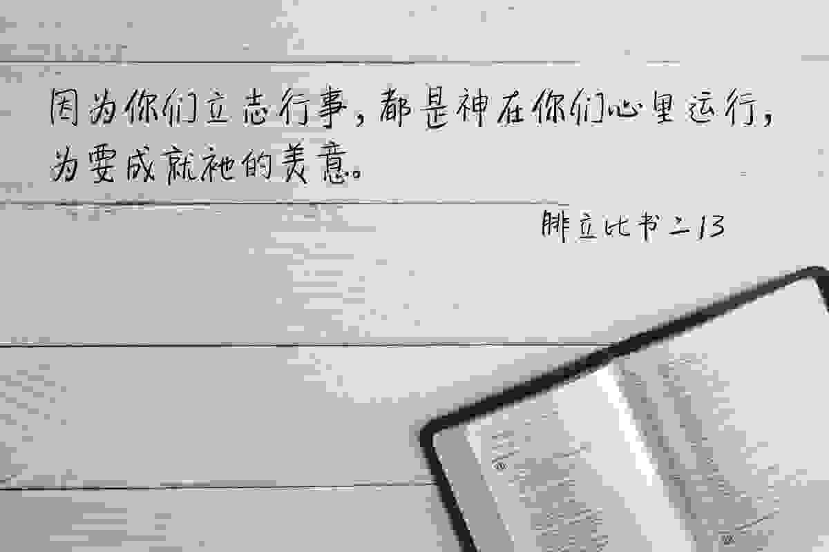 broken image
