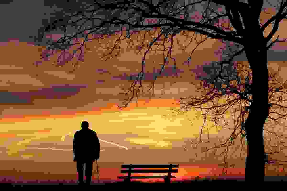broken image