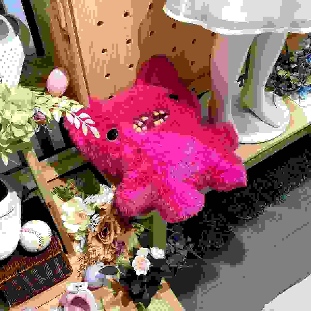 Section image