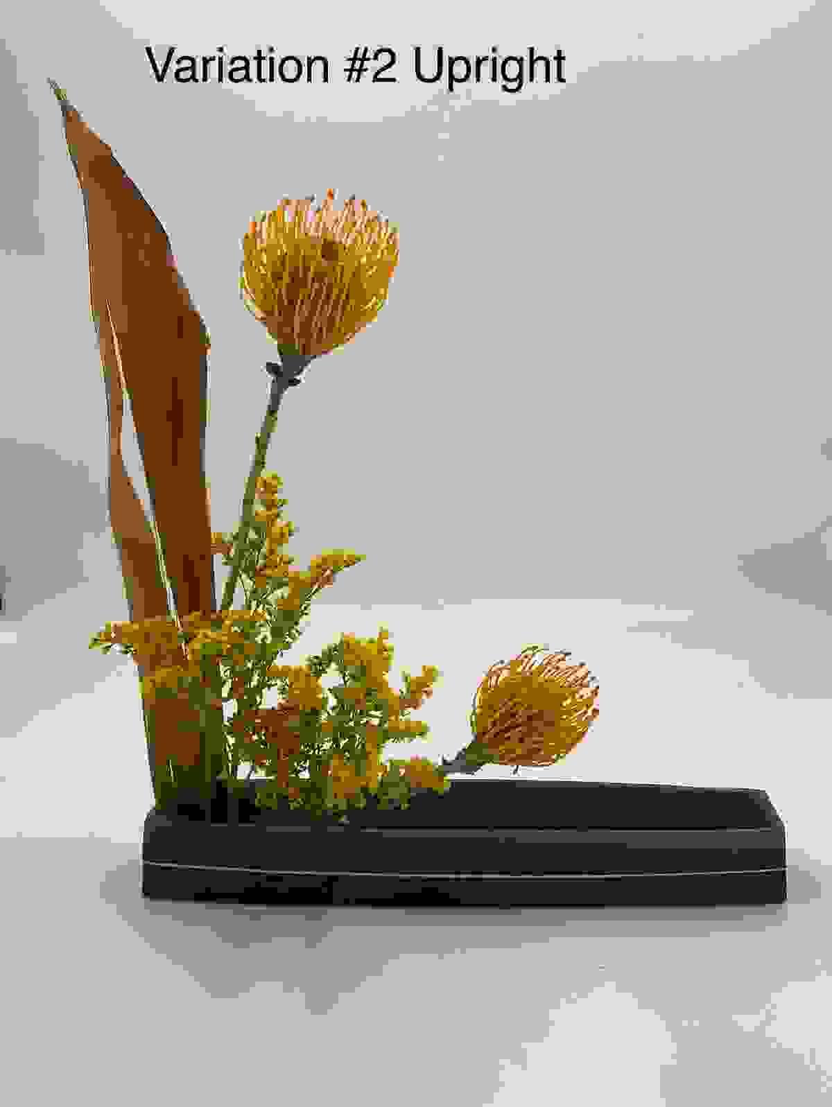 Section image