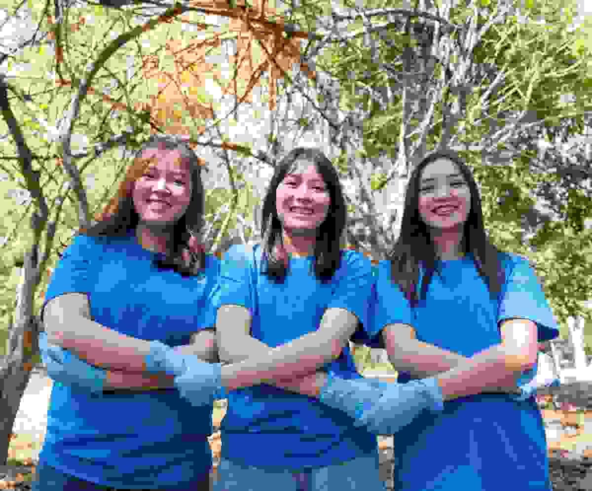 broken image