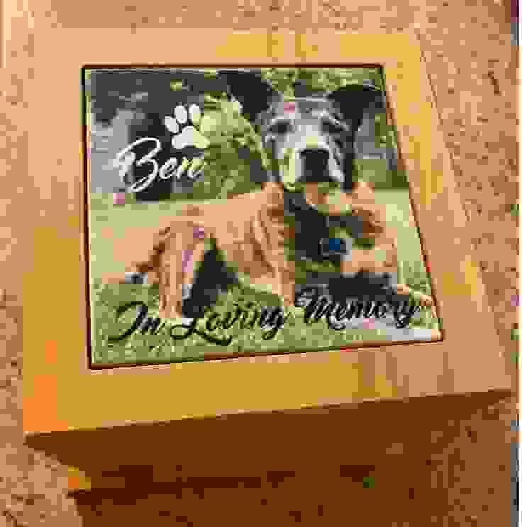 Affordable and Quality Pet Cremation in Los Angeles, Ca...