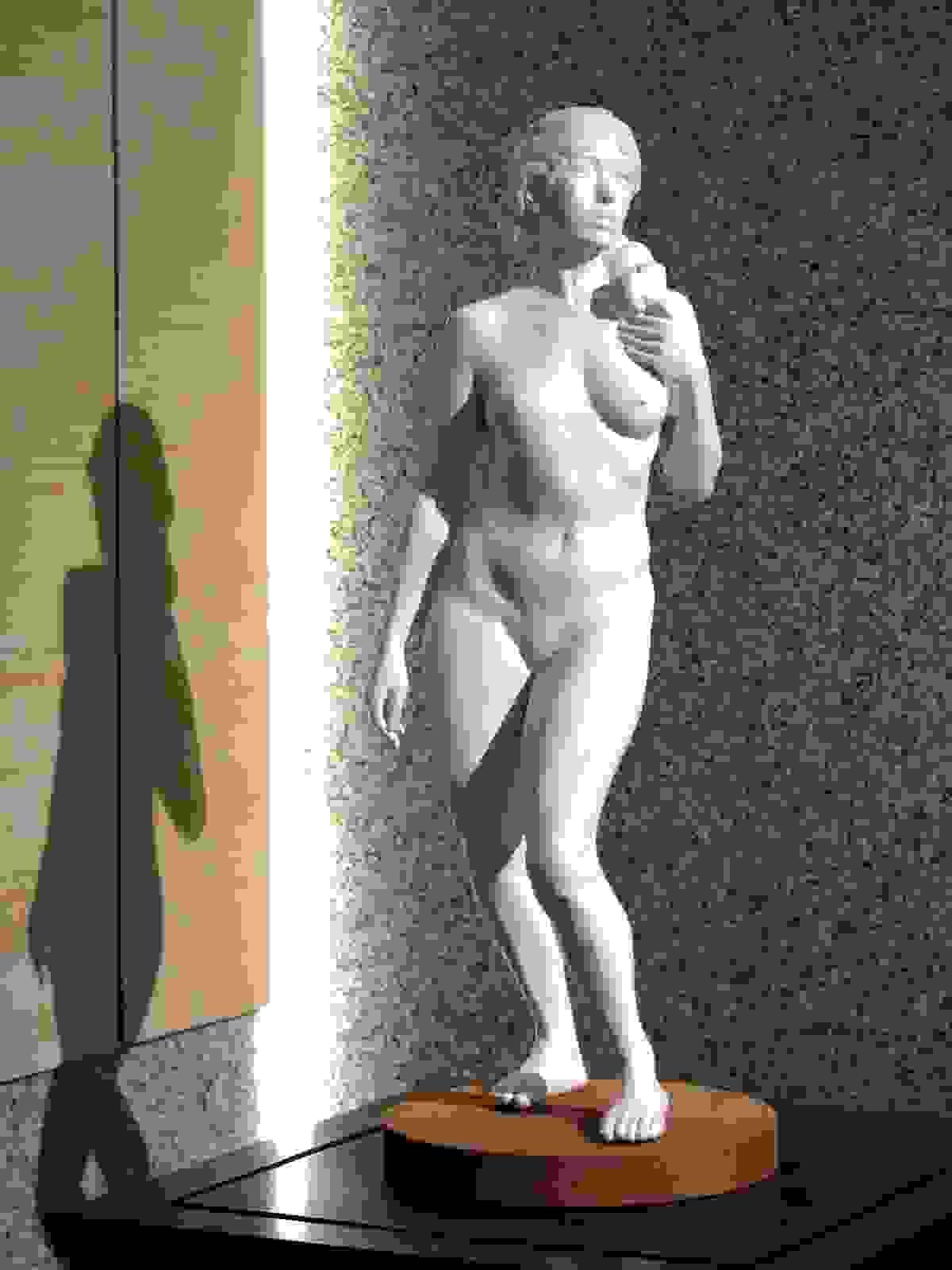 Section image