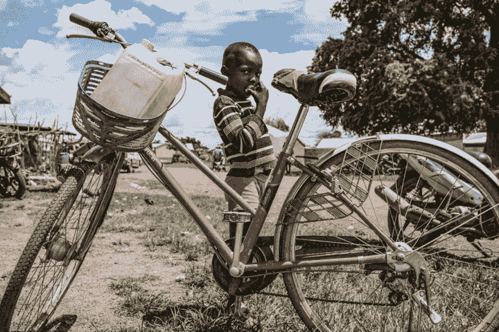 Alexander Bee Alexander Bee