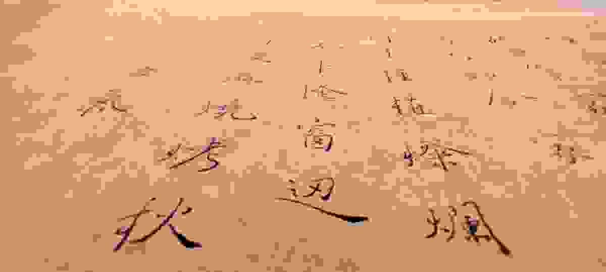 broken image