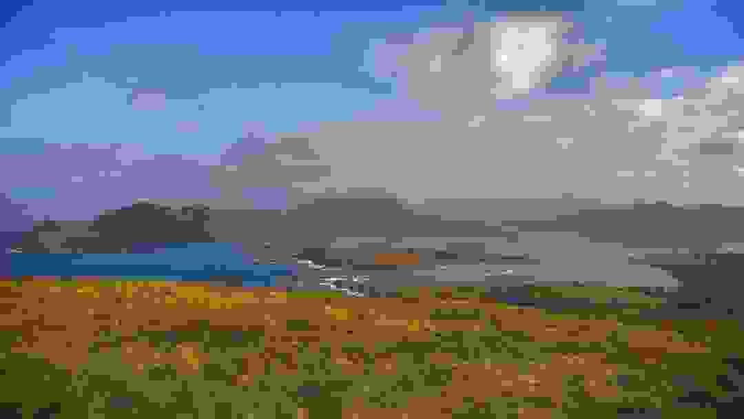 broken image