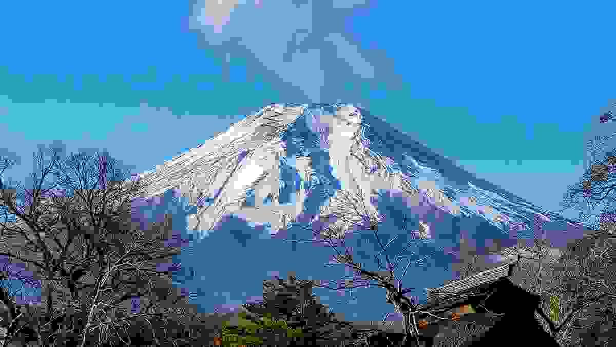 Section image
