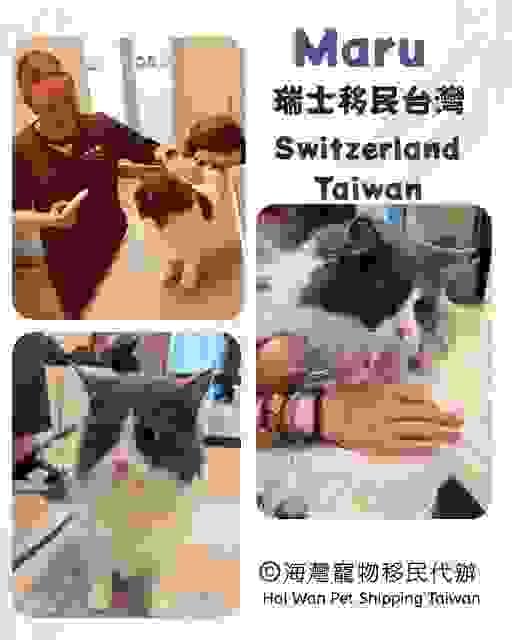 broken image