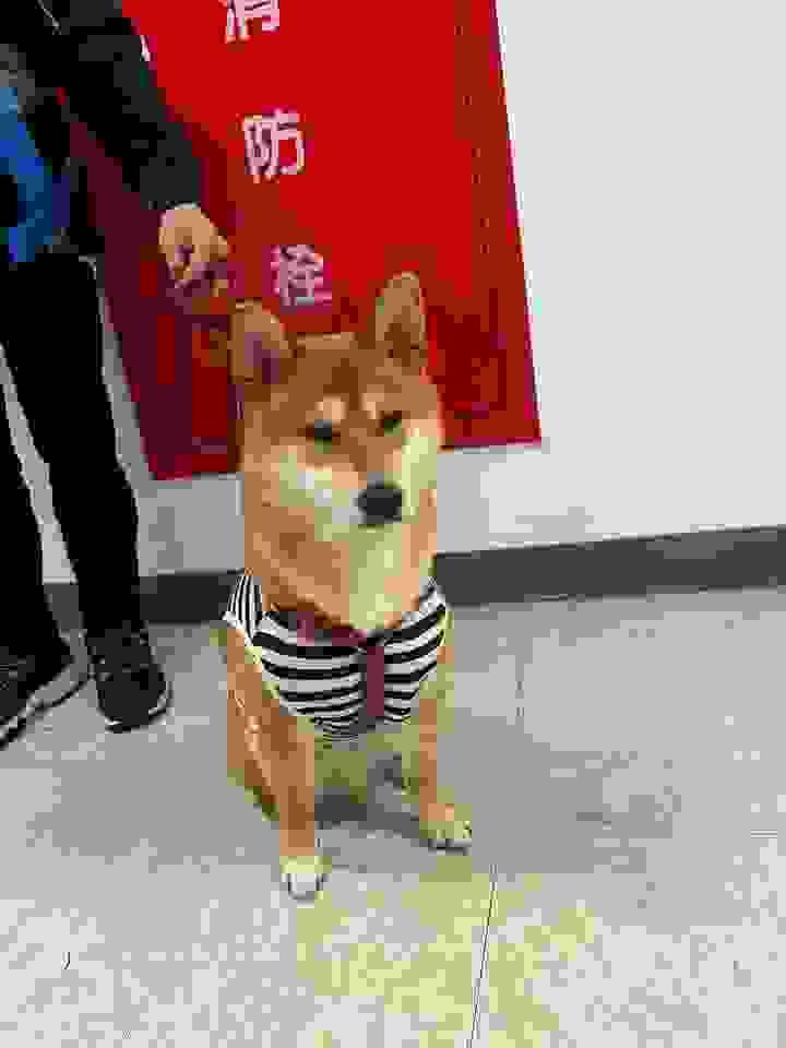 broken image