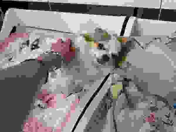 broken image