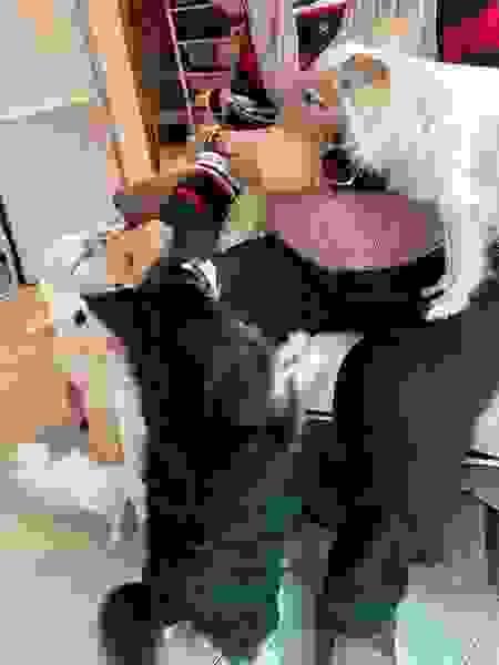 broken image