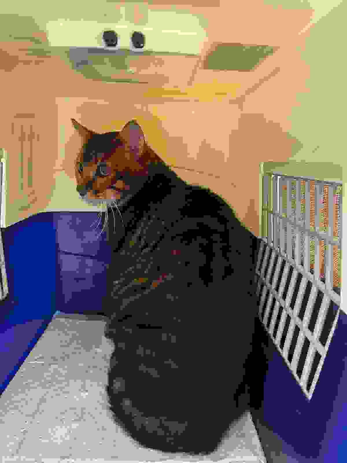 broken image