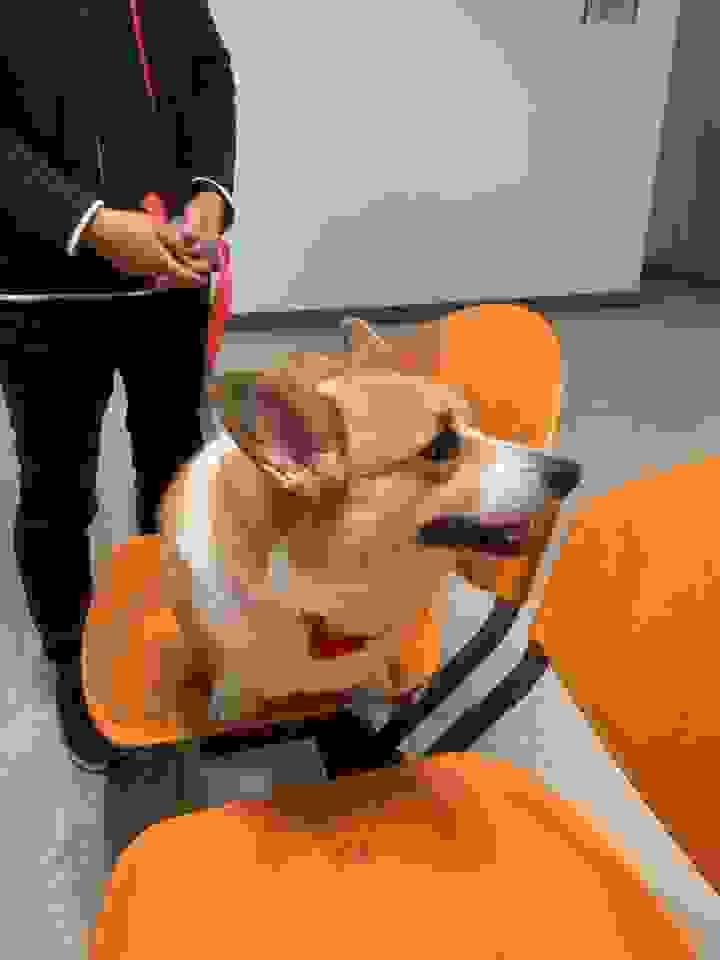 broken image