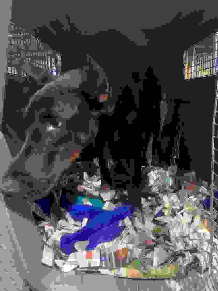 broken image