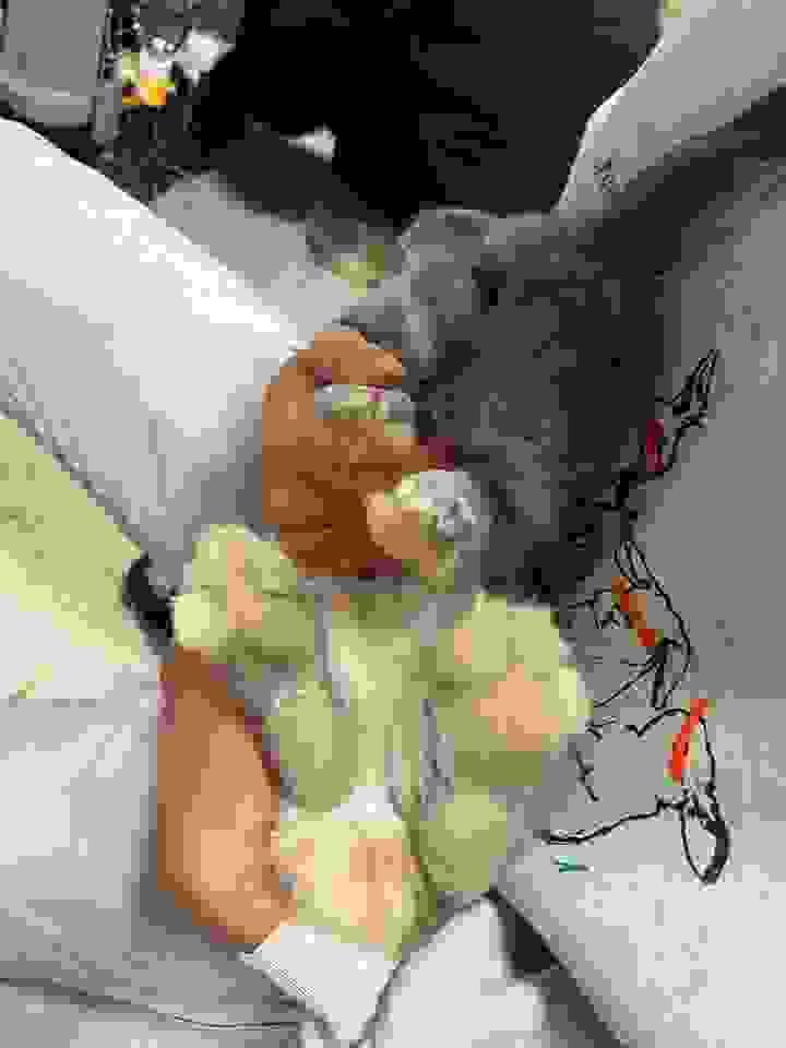 Section image