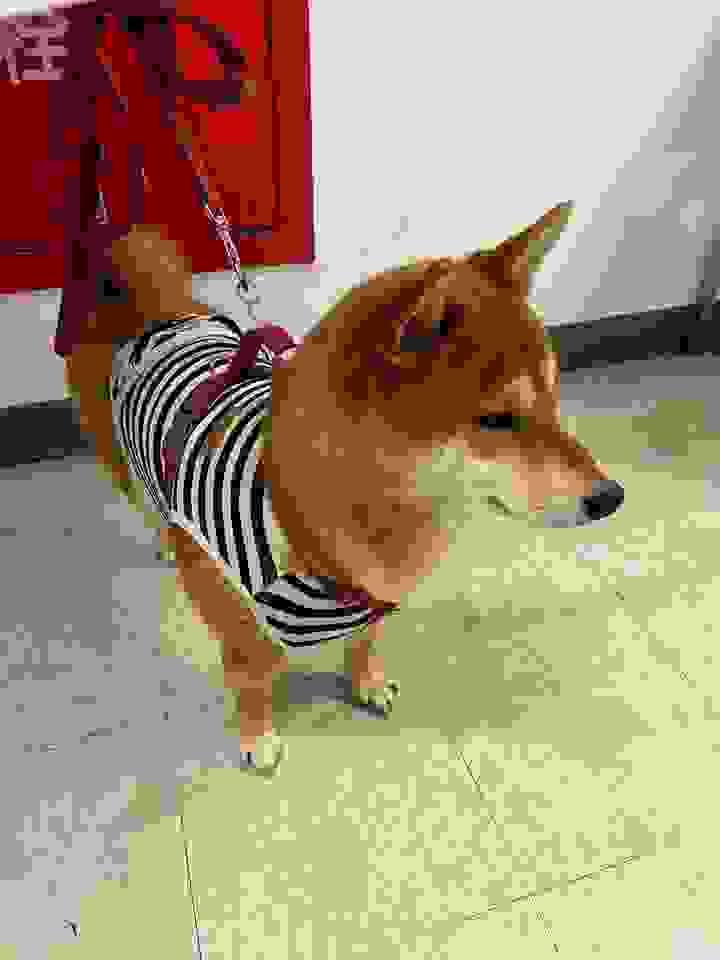 broken image