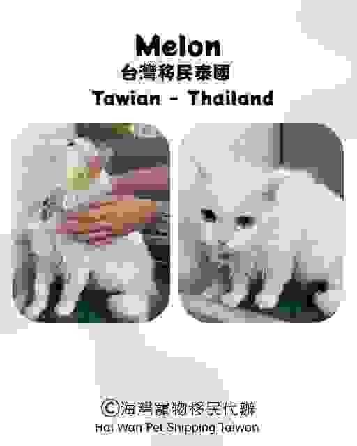 broken image