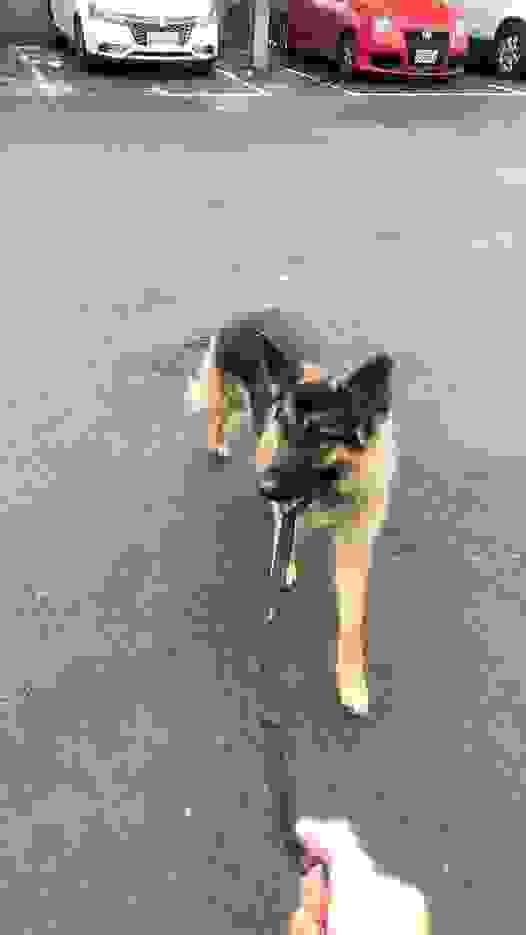 broken image
