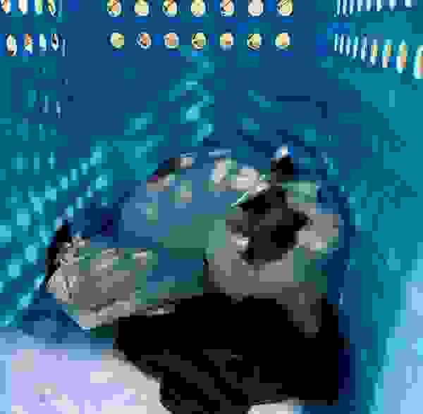 Section image