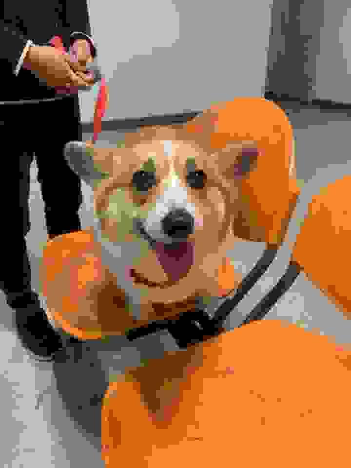 broken image