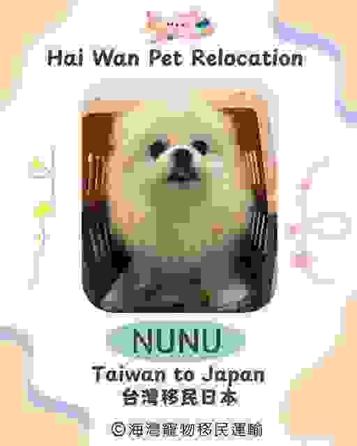 broken image