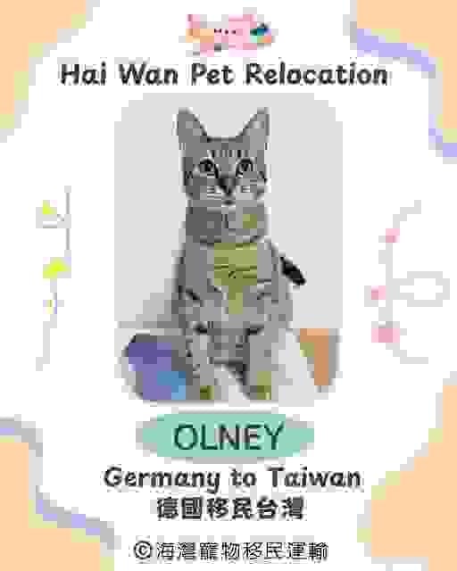 broken image
