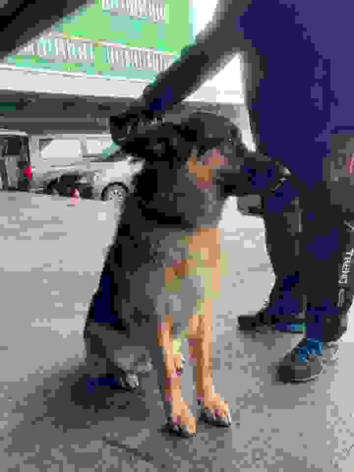 broken image