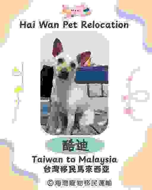 broken image