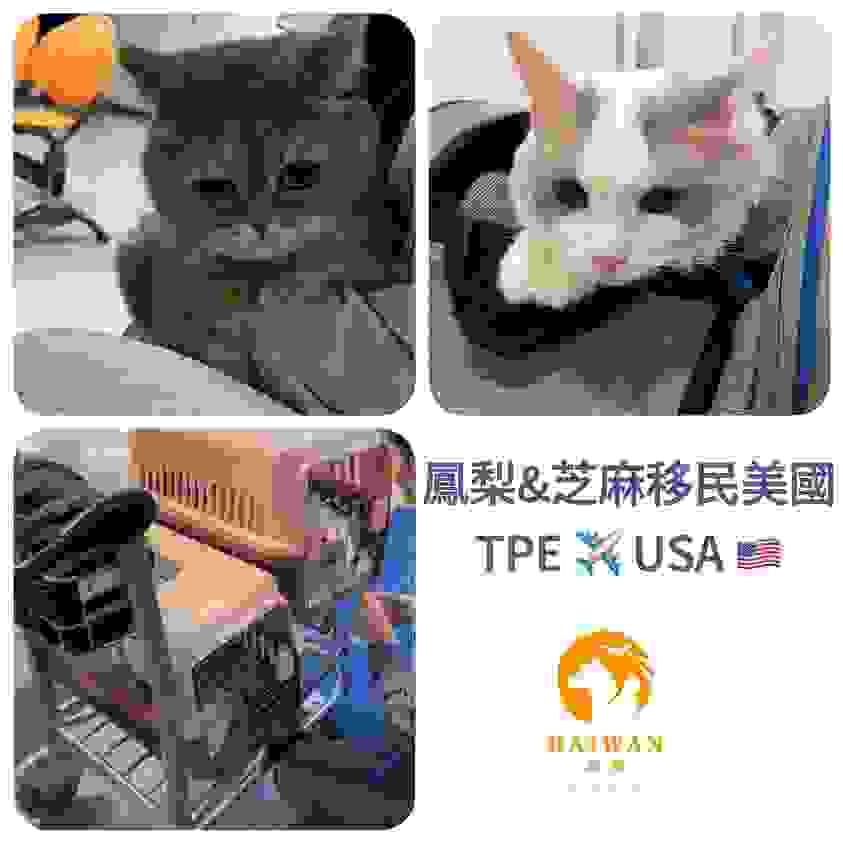 broken image