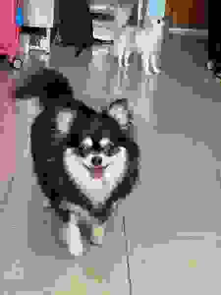 broken image