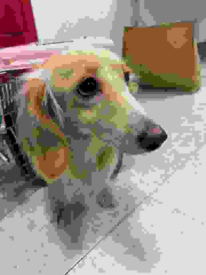 broken image