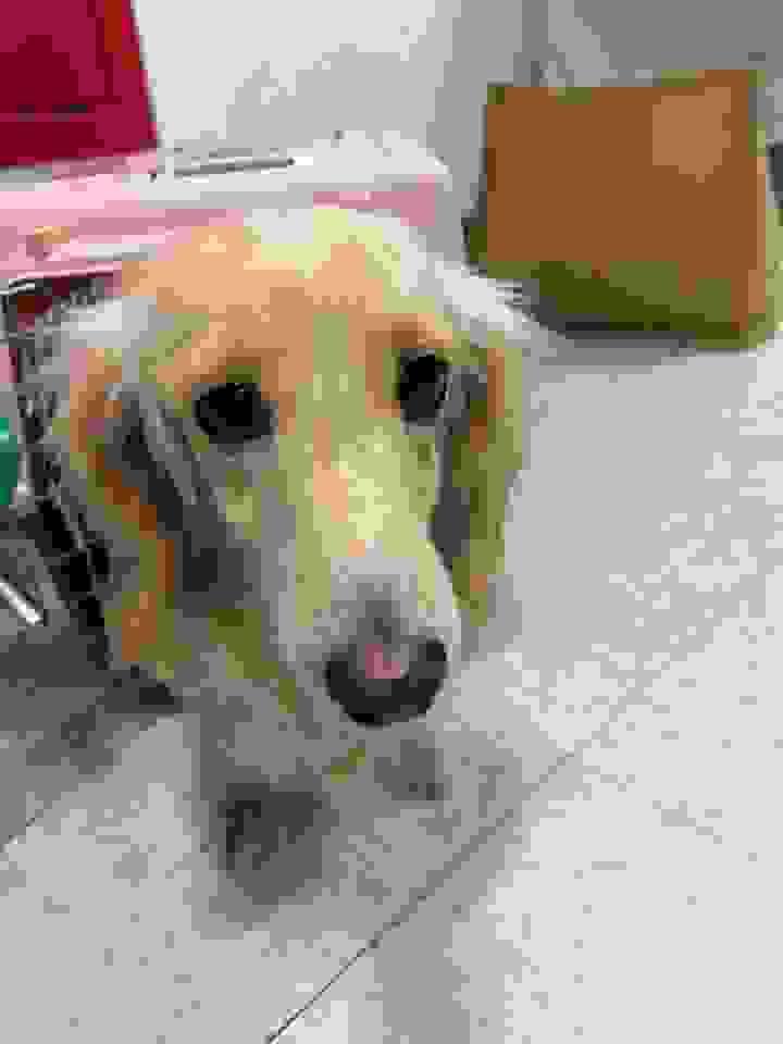 broken image